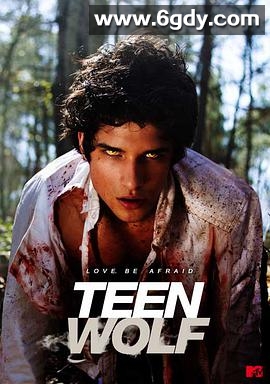 少狼 第一季(2011)完结12集全迅雷网盘全集下载