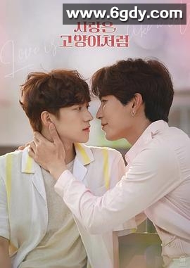 爱情像猫一样(2024)完结12集全迅雷网盘全集下载