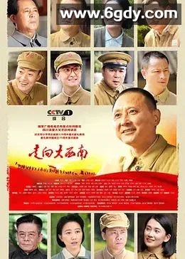 走向大西南(2024)完结23集全迅雷网盘全集下载