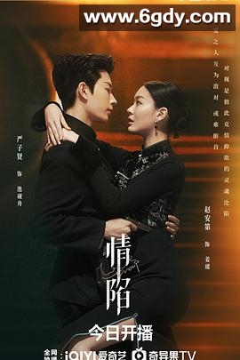 情陷(2024)完结24集全迅雷网盘全集下载