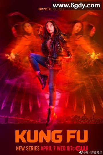 功夫 第一季(2021)完结13集全迅雷网盘全集下载