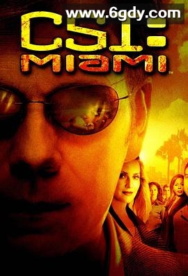 犯罪现场调查：迈阿密 第二季(2003)完结已完结迅雷网盘全集下载