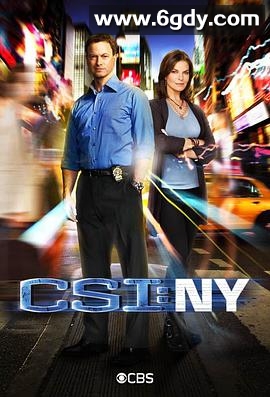 犯罪现场调查：纽约 第八季(2011)完结已完结迅雷网盘全集下载