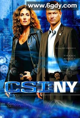 犯罪现场调查：纽约 第四季(2007)完结已完结迅雷网盘全集下载