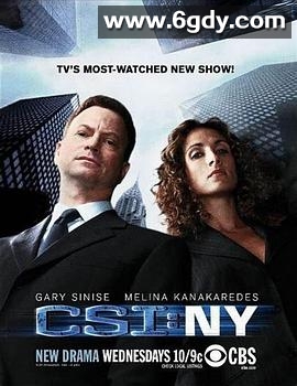 犯罪现场调查：纽约 第五季(2008)完结已完结迅雷网盘全集下载