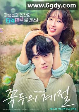 顶斗的季节(2023)完结16集全迅雷网盘全集下载