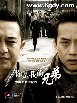 你是我兄弟(2011)完结全36集迅雷网盘全集下载