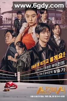 纯情拳击手(2023)完结12集全迅雷网盘全集下载