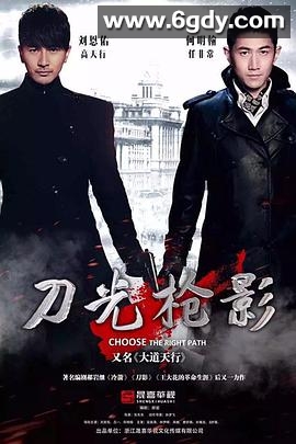 刀光枪影(2015)完结已完结迅雷网盘全集下载