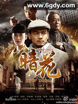 暗花(2012)完结已完结迅雷网盘全集下载