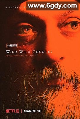 异狂国度(2018)完结6集全迅雷网盘全集下载