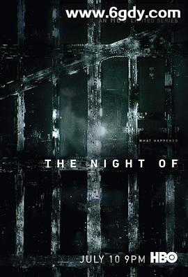 罪夜之奔(2016)完结8集全迅雷网盘全集下载