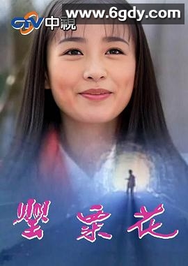 罂粟花(1997)完结已完结迅雷网盘全集下载