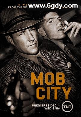 洛城黑帮(2013)完结已完结迅雷网盘全集下载