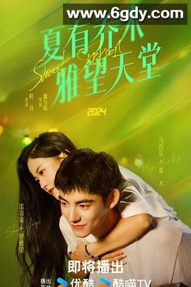 夏有乔木 雅望天堂(2024)完结20集全迅雷网盘全集下载