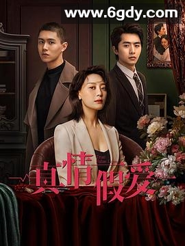 真情假爱(2023)完结已完结迅雷网盘全集下载