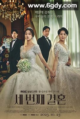 第三次婚姻(2023)完结已完结迅雷网盘全集下载