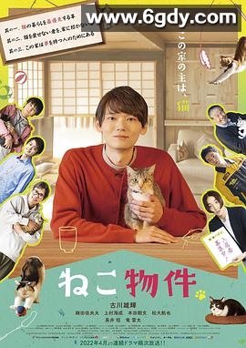 猫物件(2022)完结10集全迅雷网盘全集下载