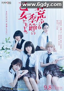 骚动时节的少女们啊(2020)完结8集全迅雷网盘全集下载