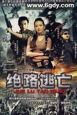 出路(2004)完结已完结迅雷网盘全集下载