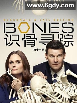 识骨寻踪 第十一季(2015)完结22集全迅雷网盘全集下载