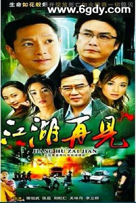 江湖再见(1991)完结已完结迅雷网盘全集下载