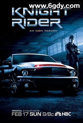 新霹雳游侠(2008)完结已完结迅雷网盘全集下载