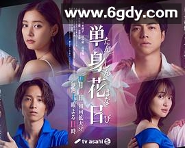 单身初恋日记(2023)完结完结迅雷网盘全集下载