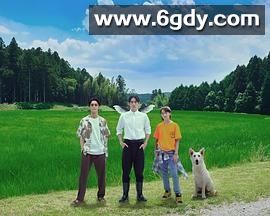 天狗的厨房(2023)完结已完结迅雷网盘全集下载