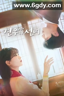 牵牛和仙女(2025)完结12集全迅雷网盘全集下载