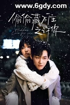 偷偷藏不住之许你(2025)完结24集全迅雷网盘全集下载