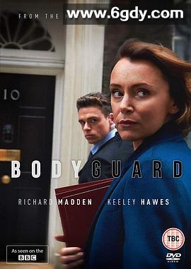 贴身保镖 第一季(2018)完结6集全迅雷网盘全集下载
