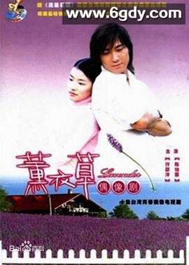 薰衣草(2001)完结完结迅雷网盘全集下载