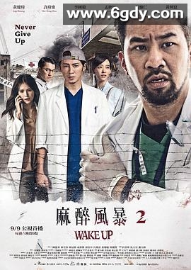 麻醉风暴2(2017)完结全13集迅雷网盘全集下载