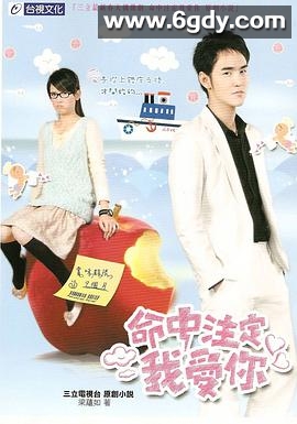 命中注定我爱你(2008)完结全24集迅雷网盘全集下载
