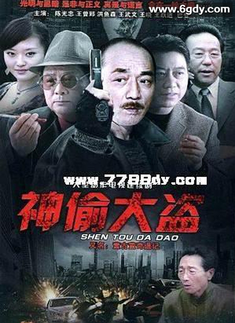 神偷大盗(2011)完结全20集迅雷网盘全集下载
