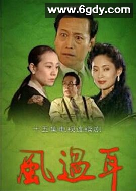 风过耳(1994)完结全15集迅雷网盘全集下载