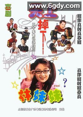 天上掉下个林妹妹(2003)完结22集全迅雷网盘全集下载