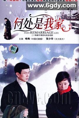何处是我家(2008)完结全20集迅雷网盘全集下载