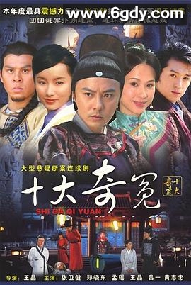 十大奇冤(2008)完结已完结迅雷网盘全集下载