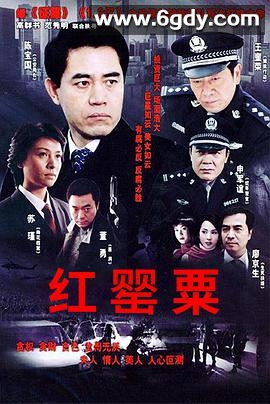 红罂粟(2004)完结全30集迅雷网盘全集下载