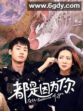 都是因为你(2020)完结全12集迅雷网盘全集下载