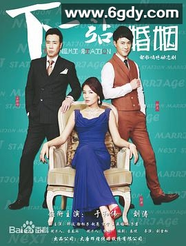下一站婚姻(2014)完结已完结迅雷网盘全集下载
