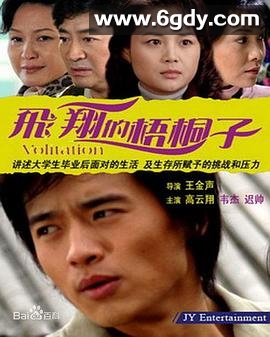 飞翔的梧桐子(2007)完结全23集迅雷网盘全集下载