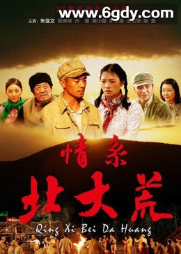 情系北大荒(2009)完结已完结迅雷网盘全集下载