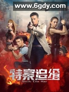 特案追缉(2020)完结全29集迅雷网盘全集下载