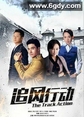 追风行动(2018)完结全45集迅雷网盘全集下载