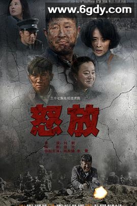 怒放(2014)完结已完结迅雷网盘全集下载