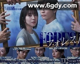 森林(2025)完结更新第08集迅雷网盘全集下载