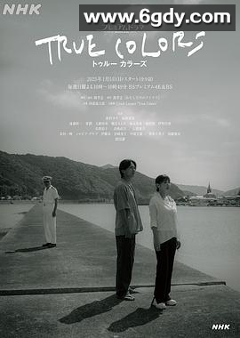 本色(2025)完结已完结迅雷网盘全集下载